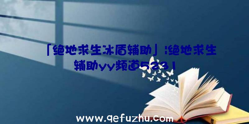 「绝地求生冰盾辅助」|绝地求生辅助yy频道5231